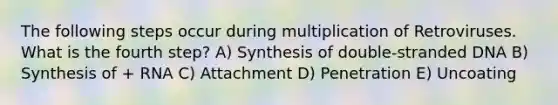 The following steps occur during multiplication of Retroviruses. What is the fourth step? A) Synthesis of double-stranded DNA B) Synthesis of + RNA C) Attachment D) Penetration E) Uncoating