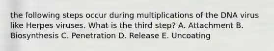 the following steps occur during multiplications of the DNA virus like Herpes viruses. What is the third step? A. Attachment B. Biosynthesis C. Penetration D. Release E. Uncoating