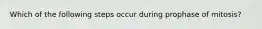 Which of the following steps occur during prophase of mitosis?