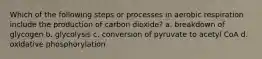 Which of the following steps or processes in aerobic respiration include the production of carbon dioxide? a. breakdown of glycogen b. glycolysis c. conversion of pyruvate to acetyl CoA d. oxidative phosphorylation