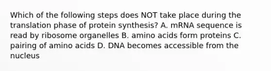 Which of the following steps does NOT take place during the translation phase of protein synthesis? A. mRNA sequence is read by ribosome organelles B. amino acids form proteins C. pairing of amino acids D. DNA becomes accessible from the nucleus