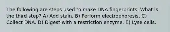 The following are steps used to make DNA fingerprints. What is the third step? A) Add stain. B) Perform electrophoresis. C) Collect DNA. D) Digest with a restriction enzyme. E) Lyse cells.