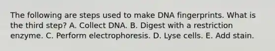 The following are steps used to make DNA fingerprints. What is the third step? A. Collect DNA. B. Digest with a restriction enzyme. C. Perform electrophoresis. D. Lyse cells. E. Add stain.