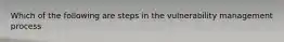 Which of the following are steps in the vulnerability management process