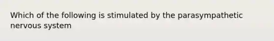 Which of the following is stimulated by the parasympathetic nervous system