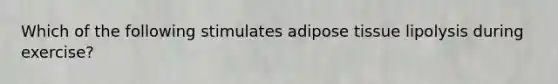 Which of the following stimulates adipose tissue lipolysis during exercise?