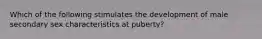 Which of the following stimulates the development of male secondary sex characteristics at puberty?
