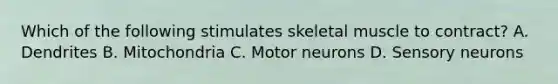 Which of the following stimulates skeletal muscle to contract? A. Dendrites B. Mitochondria C. Motor neurons D. Sensory neurons