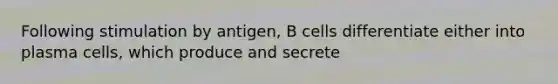 Following stimulation by antigen, B cells differentiate either into plasma cells, which produce and secrete