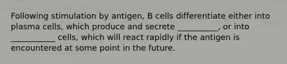 Following stimulation by antigen, B cells differentiate either into plasma cells, which produce and secrete __________, or into ___________ cells, which will react rapidly if the antigen is encountered at some point in the future.