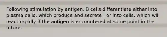 Following stimulation by antigen, B cells differentiate either into plasma cells, which produce and secrete , or into cells, which will react rapidly if the antigen is encountered at some point in the future.