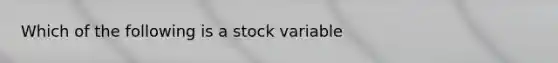 Which of the following is a stock variable