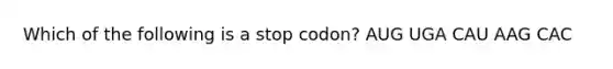 Which of the following is a stop codon? AUG UGA CAU AAG CAC