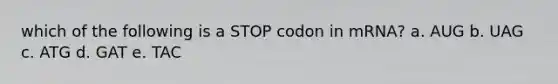 which of the following is a STOP codon in mRNA? a. AUG b. UAG c. ATG d. GAT e. TAC