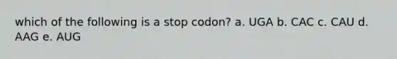 which of the following is a stop codon? a. UGA b. CAC c. CAU d. AAG e. AUG