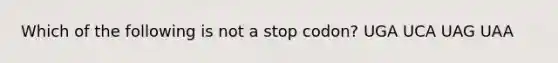 Which of the following is not a stop codon? UGA UCA UAG UAA