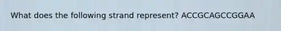 What does the following strand represent? ACCGCAGCCGGAA