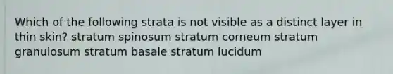 Which of the following strata is not visible as a distinct layer in thin skin? stratum spinosum stratum corneum stratum granulosum stratum basale stratum lucidum