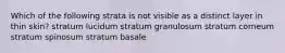 Which of the following strata is not visible as a distinct layer in thin skin? stratum lucidum stratum granulosum stratum corneum stratum spinosum stratum basale