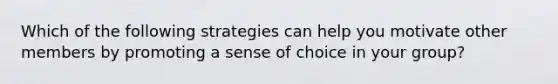 Which of the following strategies can help you motivate other members by promoting a sense of choice in your group?