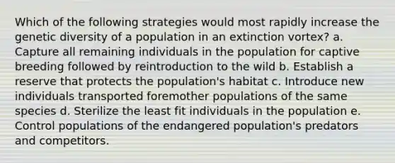 Which of the following strategies would most rapidly increase the genetic diversity of a population in an extinction vortex? a. Capture all remaining individuals in the population for captive breeding followed by reintroduction to the wild b. Establish a reserve that protects the population's habitat c. Introduce new individuals transported foremother populations of the same species d. Sterilize the least fit individuals in the population e. Control populations of the endangered population's predators and competitors.