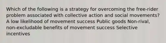 Which of the following is a strategy for overcoming the free-rider problem associated with collective action and social movements? A low likelihood of movement success Public goods Non-rival, non-excludable benefits of movement success Selective incentives