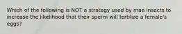 Which of the following is NOT a strategy used by mae insects to increase the likelihood that their sperm will fertilize a female's eggs?