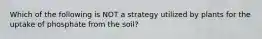 Which of the following is NOT a strategy utilized by plants for the uptake of phosphate from the soil?