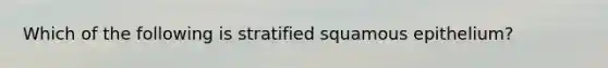 Which of the following is stratified squamous epithelium?