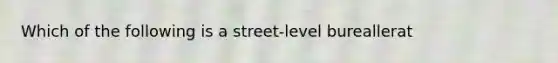 Which of the following is a street-level bureallerat