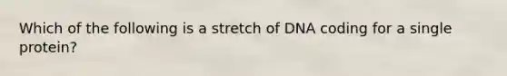 Which of the following is a stretch of DNA coding for a single protein?