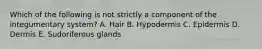 Which of the following is not strictly a component of the integumentary system? A. Hair B. Hypodermis C. Epidermis D. Dermis E. Sudoriferous glands