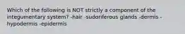 Which of the following is NOT strictly a component of the integumentary system? -hair -sudoriferous glands -dermis -hypodermis -epidermis