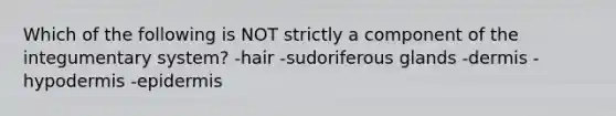 Which of the following is NOT strictly a component of the integumentary system? -hair -sudoriferous glands -dermis -hypodermis -epidermis