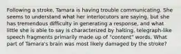 Following a stroke, Tamara is having trouble communicating. She seems to understand what her interlocutors are saying, but she has tremendous difficulty in generating a response, and what little she is able to say is characterized by halting, telegraph-like speech fragments primarily made up of "content" words. What part of Tamara's brain was most likely damaged by the stroke?