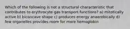 Which of the following is not a structural characteristic that contributes to erythrocyte gas transport functions? a) mitotically active b) biconcave shape c) produces energy anaerobically d) few organelles provides room for more hemoglobin