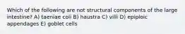 Which of the following are not structural components of the large intestine? A) taeniae coli B) haustra C) villi D) epiploic appendages E) goblet cells