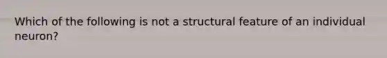 Which of the following is not a structural feature of an individual neuron?