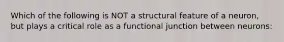 Which of the following is NOT a structural feature of a neuron, but plays a critical role as a functional junction between neurons: