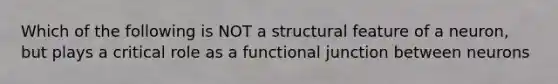 Which of the following is NOT a structural feature of a neuron, but plays a critical role as a functional junction between neurons