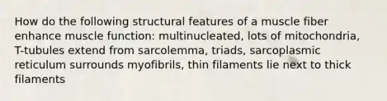 How do the following structural features of a muscle fiber enhance muscle function: multinucleated, lots of mitochondria, T-tubules extend from sarcolemma, triads, sarcoplasmic reticulum surrounds myofibrils, thin filaments lie next to thick filaments