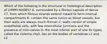 Which of the following is the structural or histological description of LYMPH NODES? A. surrounded by a fibrous capsule of dense CT, from which fibrous strands extend inward to form internal compartments B. contain the same tunics as blood vessels, but their walls are always much thinner C. walls consist of simple endothelial cells, with few intercellular junctions and the presence of mini-valves D. the most inferior part of one its types, called the cisterna chyli, lies on the bodies of vertebrae L1 and L2