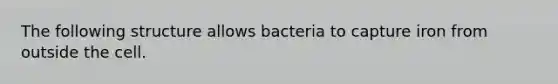 The following structure allows bacteria to capture iron from outside the cell.