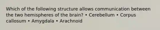 Which of the following structure allows communication between the two hemispheres of the brain? • Cerebellum • Corpus callosum • Amygdala • Arachnoid