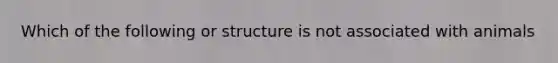 Which of the following or structure is not associated with animals