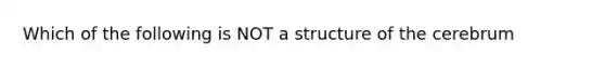 Which of the following is NOT a structure of the cerebrum