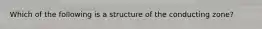 Which of the following is a structure of the conducting zone?