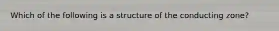 Which of the following is a structure of the conducting zone?