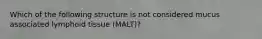 Which of the following structure is not considered mucus associated lymphoid tissue (MALT)?