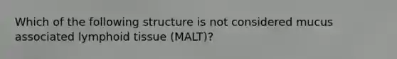 Which of the following structure is not considered mucus associated lymphoid tissue (MALT)?